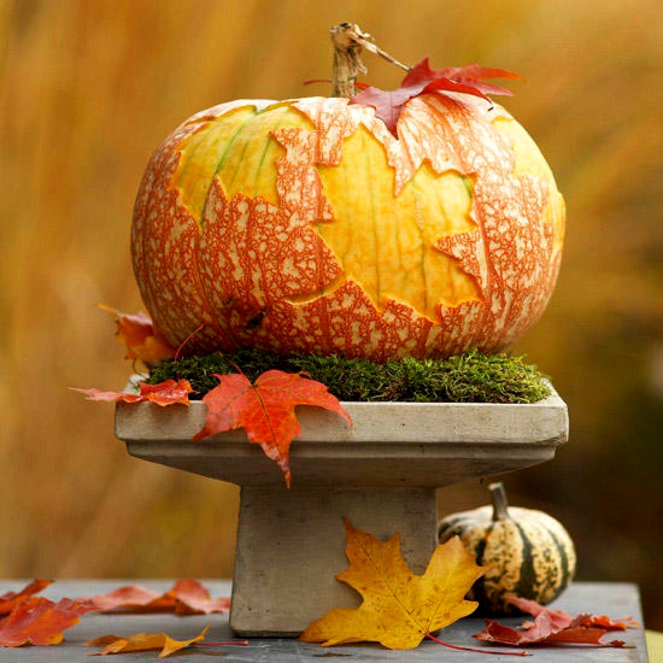 decorating-with-pumpkins-and-gourds-ideas-7