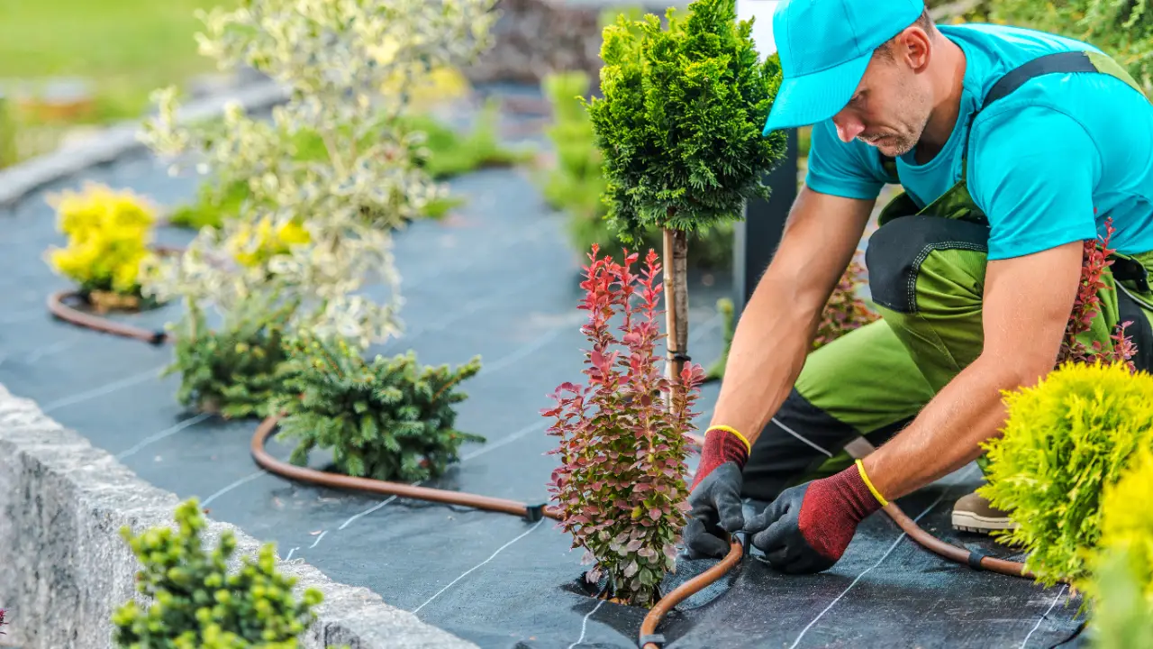 Top 3 Landscaping Tips For Spring